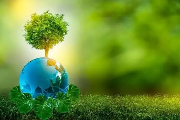 解鎖EPS回收的潛力,助力可持續(xù)未來:EPS壓實(shí)機(jī)